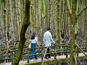 Địa điểm nghỉ dưỡng chữa lành gần Sài Gòn – Gọi tên Mangrove Cần Giờ