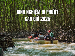 Kinh Nghiệm Đi Phượt Cần Giờ 2025: Trọn Bộ Cẩm Nang Cho Dân Phượt