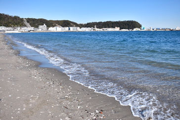 横須賀 久里浜海岸⚓️