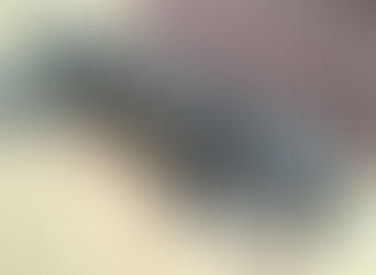 ワンちゃんのいる生活🐾