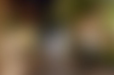 2023トルコ🇹🇷イスタンブール旅行記⑧夜明け前のアヤソフィア。スルタンアフメトで日本人と出会い.. イスタンブールマラソンの日でしくじった