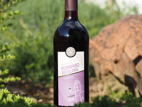 Schwarzriesling
