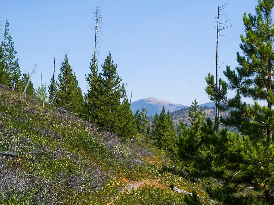backpacking in Montana along the Continental Divide Trail