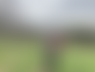 Appalachian Trail: Days 38-49