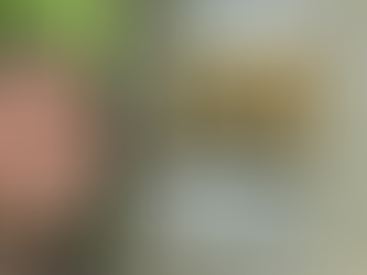 Appalachian Trail: Days 63-73