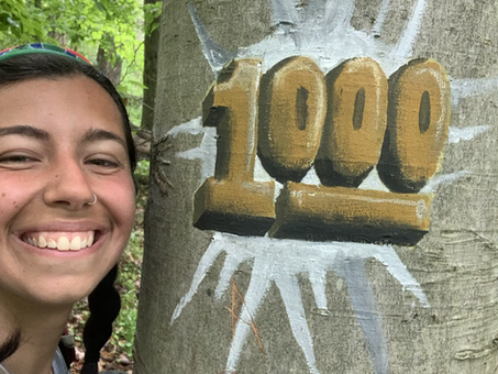 Appalachian Trail: Days 63-73