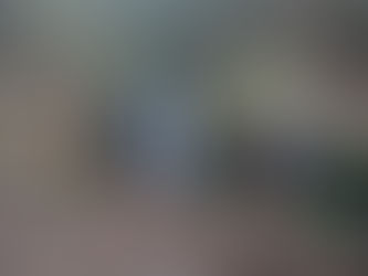 Appalachian Trail: Days 88-97