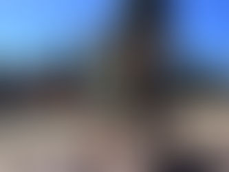 Continental Divide Trail: Days 31 - 43