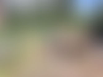 Continental Divide Trail: Days 96-106