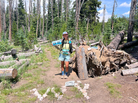 Continental Divide Trail: Days 96-106