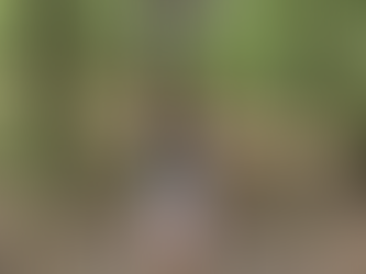 Appalachian Trail: Days 78-87