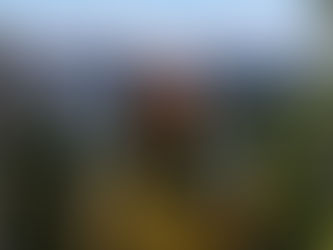 Continental Divide Trail: Days 44-50