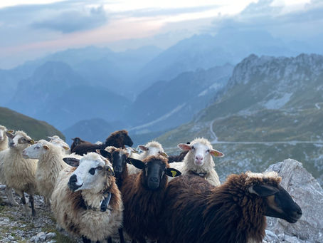 Slovenia - Summer 2024