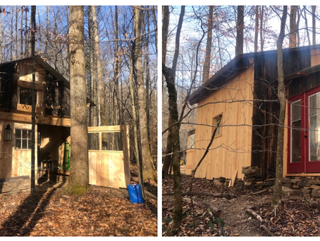 Workshop Window: The Orchid