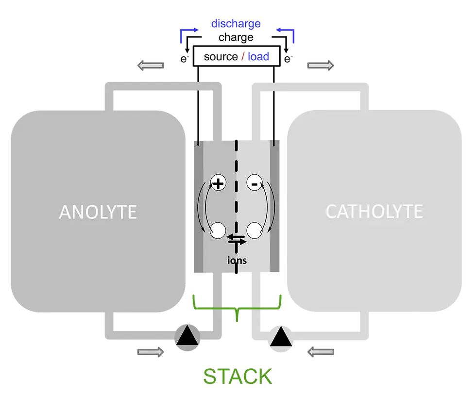 RFB schmatic transparent.webp