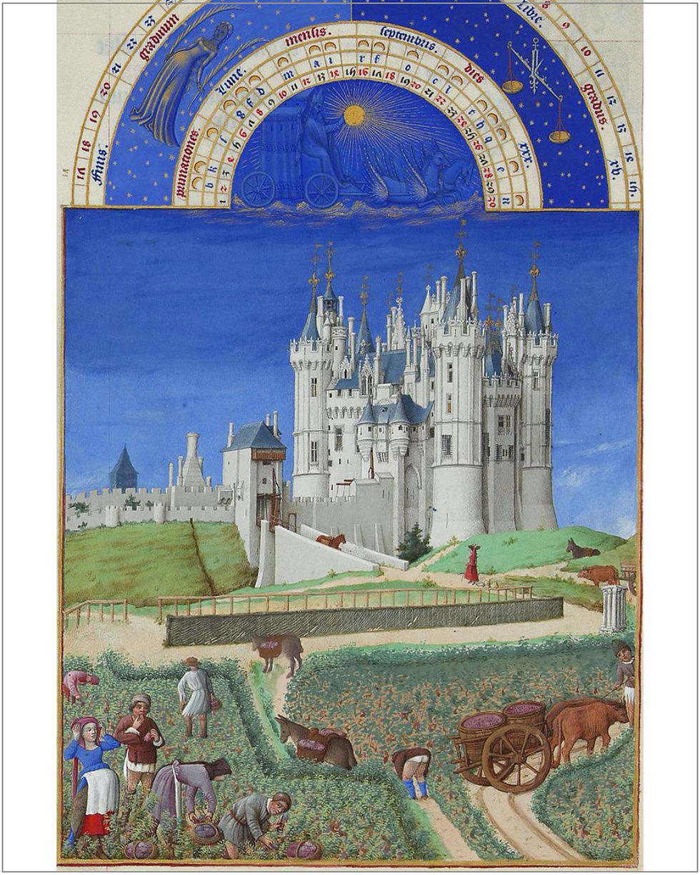 Cette miniature, issue du célèbre manuscrit enluminé, représente une scène emblématique des vendanges médiévales. Au premier plan, cinq personnages s'affairent à récolter les grappes de raisin, symbolisant la vitalité et l’abondance de cette période. Les grappes, collectées dans des paniers, sont ensuite transférées dans des hottes fixées sur des mulets, avant d’être déversées dans des cuves chargées sur des charrettes tirées par des bœufs. À droite, un couple, dont la femme semble enceinte, se repose sous un ciel limpide, rappelant l’aspect humain et collectif des vendanges. En arrière-plan, le château de Saumur, en Anjou, domine le paysage. Ses tours, surmontées de girouettes à fleurs de lys, attestent de l’importance symbolique et politique de ce lieu au Moyen Âge. Les fortifications et la lice adjacente, avec son treillage caractéristique, ajoutent une dimension de protection et de prestige à cette scène agricole.