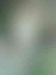 Fête des Fleurs de Saint de Saint Jean de Beauregard ©Ivy Cousin | STORIES OF IVY