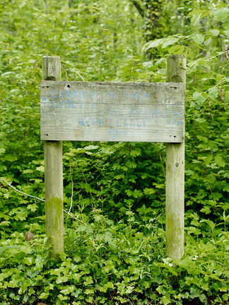 Forêt de Cheptainville, Essonne © Ivy Cousin | STORIES OF IVY
