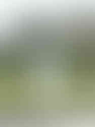 Jardins du Château de Breteuil 91 ©Ivy Cousin | STORIES OF IVY