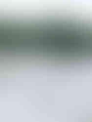 Forêt de Cheptainville, Essonne © Ivy Cousin | STORIES OF IVY