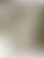 Citadelle de Besançon © Ivy Cousin | STORIES OF IVY