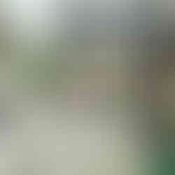 © Ivy Cousin | STORIES OF IVY