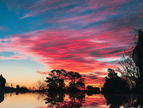 Understanding Anxiety: A Guide to Coping Strategies