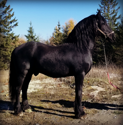 Picture_20191101_153434180