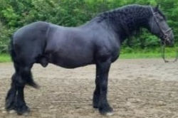 17847968927700846_edited