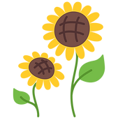 sunflower.png