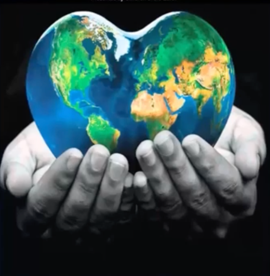 The Cardisphere