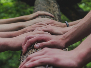 July 2025 Eco-Spiritual Calendar