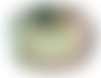 Wild About the Rogue