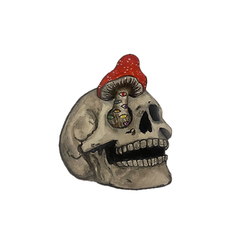IMG-0065_edited.png