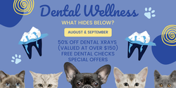 RBV WIX Banner
