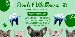 CVS WIX Banner