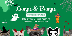 CVS WIX Banner