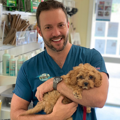David Woolaston with puppy.jpg