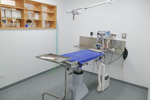 Clinic_Surgery2.jpg