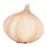 Česnek