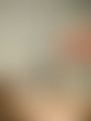 The Role of Fulvic Acid in Enhancing Nutrient Absorption: Shilajit’s Superpower