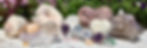 home slideshow 1.jpeg