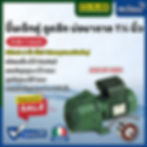 ปั๊มเจ็ทคู่