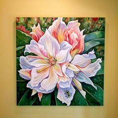 Rhododendron SOLD