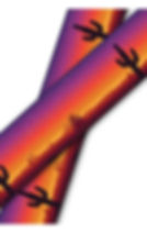 Thumbnail: 3/4" Quick Snap Print (18"-21"Neck)