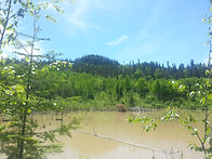 Riviere Mouillieuse.JPG