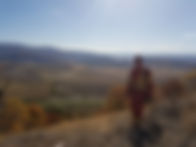 BG LAND.JPG