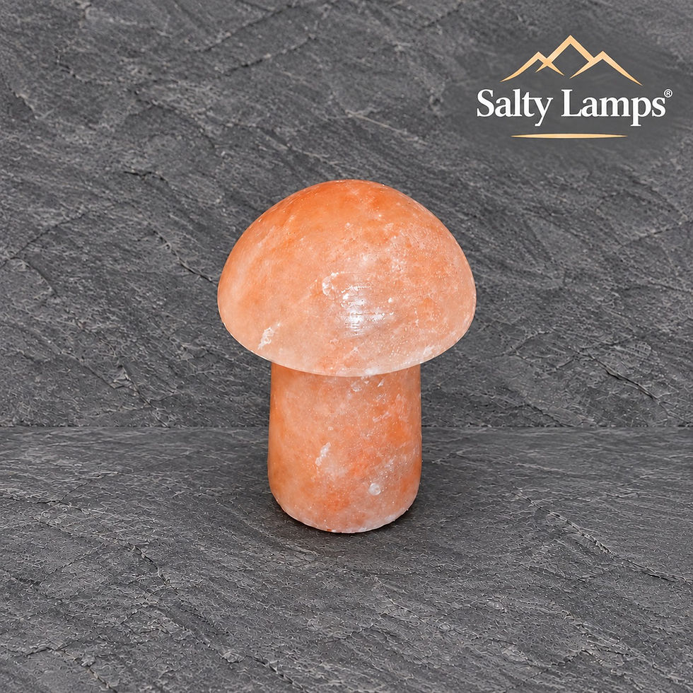 Mushroom Shape Rock Salt Lamp