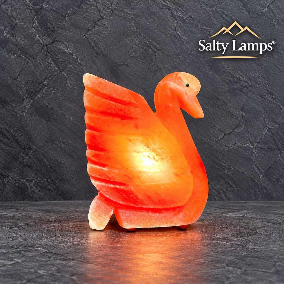 Himalayan Rock Salt Dove Lamp
