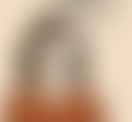 “I’m Just Telling It Like It Is”